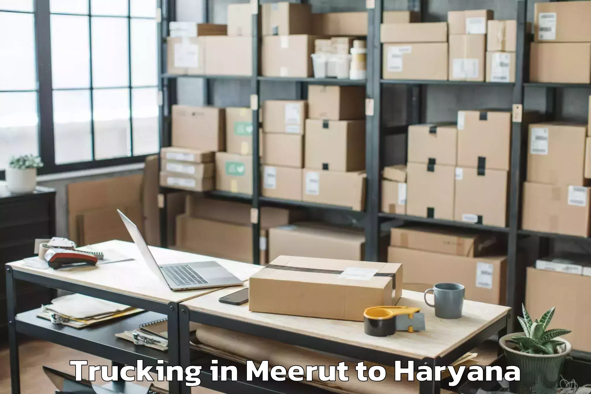 Easy Meerut to Tdi Mall Sonipat Trucking Booking